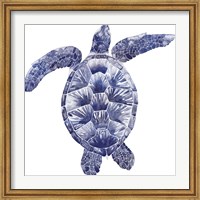 Framed Marine Turtle II