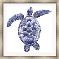 Framed Marine Turtle II