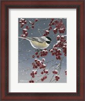 Framed Winter Chickadees I