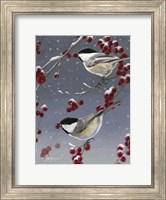 Framed Winter Chickadees II