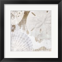 White Shells I Framed Print