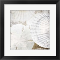 White Shells II Framed Print