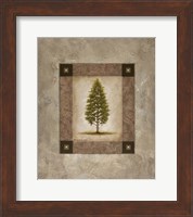 Framed European Pine I