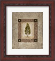 Framed European Pine I