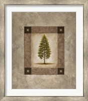 Framed European Pine I