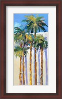 Framed Shadow Palms I