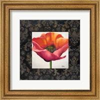 Framed Poppy Flower I