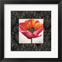 Framed Poppy Flower I