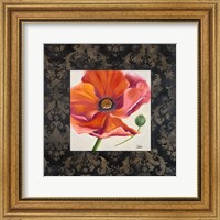 Framed Poppy Flower II