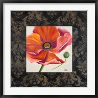 Framed Poppy Flower II