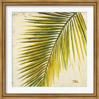Framed Baru Palm I