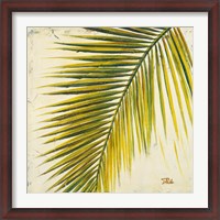 Framed Baru Palm I