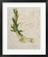 Botanica II Framed Print