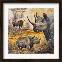 Framed Safari I