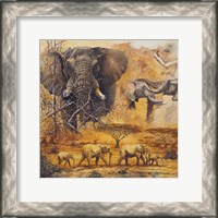 Framed Safari II