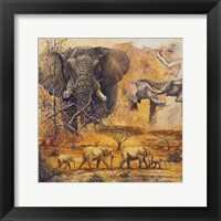 Framed Safari II