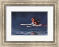 Framed Flying Flamingos