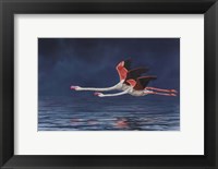 Framed Flying Flamingos