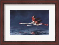 Framed Flying Flamingos