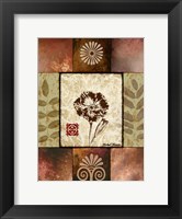 Framed Primrose II