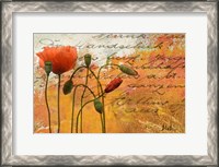 Framed Poppies Composition I