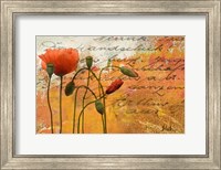 Framed Poppies Composition I