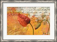 Framed Poppies Composition II
