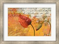 Framed Poppies Composition II