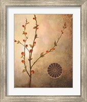 Framed 'Fall Stems in the Warmth' border=