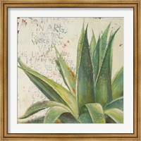 Framed Aloe I
