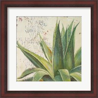 Framed Aloe I