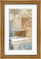 Framed Bathroom & Ornaments II