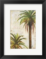 Framed Palms & Scrolls I