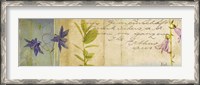 Framed Wildflower Panel I