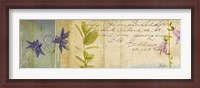 Framed Wildflower Panel I