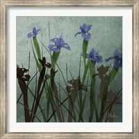 Framed Blue Irises I