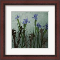 Framed Blue Irises I