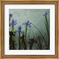 Framed Blue Irises II