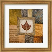 Framed Fallen Leaf I (red)