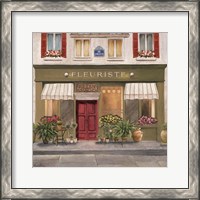 Framed French Store II