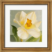 Framed Daffodil Sky I