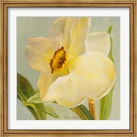 Framed Daffodil Sky II