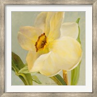 Framed Daffodil Sky II