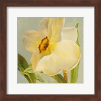 Framed Daffodil Sky II