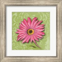 Framed Blooming Daisy I