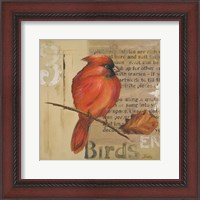 Framed Red Love Birds II