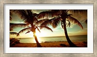 Framed Bimini Sunset II