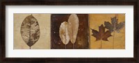 Framed Natural Panel II