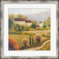 Framed Tuscany Vineyard I