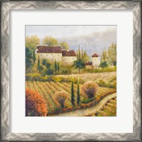 Framed Tuscany Vineyard I